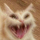 Mreow